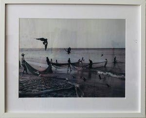 Nice Catch, Framed photograph 42x53cm