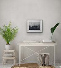 Load image into Gallery viewer, Nice Catch, Framed photograph 42x53cm
